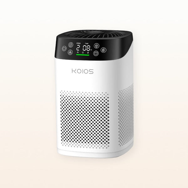 Air Purifier