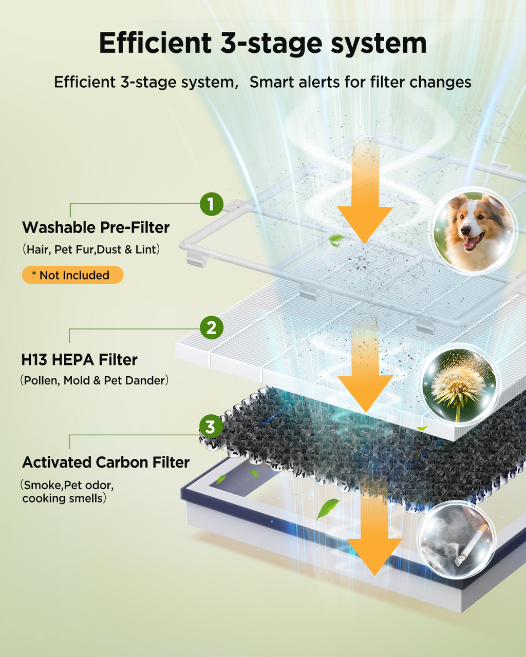 1Pack AP2503 Replacement Filter for KOIOS AP2503 Air Purifier, 3-in-1 H13 True HEPA and Activated Carbon Replacement Filter for Home Large Room, Pet Hair, Smoke, Dust, Pollen, AP2503, White