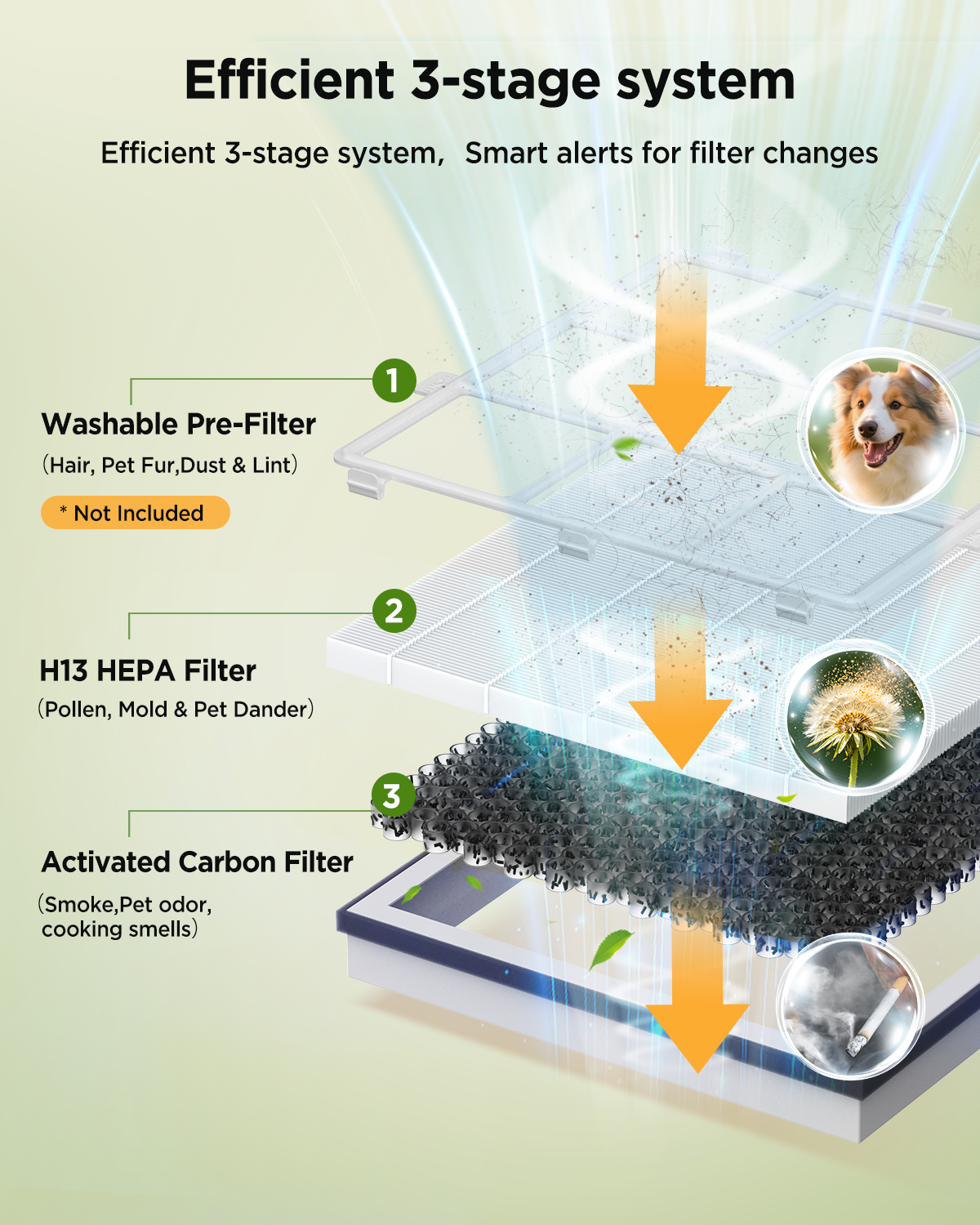 1Pack AP2503 Replacement Filter for KOIOS AP2503 Air Purifier, 3-in-1 H13 True HEPA and Activated Carbon Replacement Filter for Home Large Room, Pet Hair, Smoke, Dust, Pollen, AP2503, White